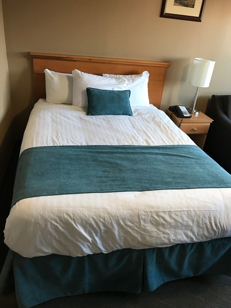 Sands Inn & Suites 埃德蒙顿 外观 照片