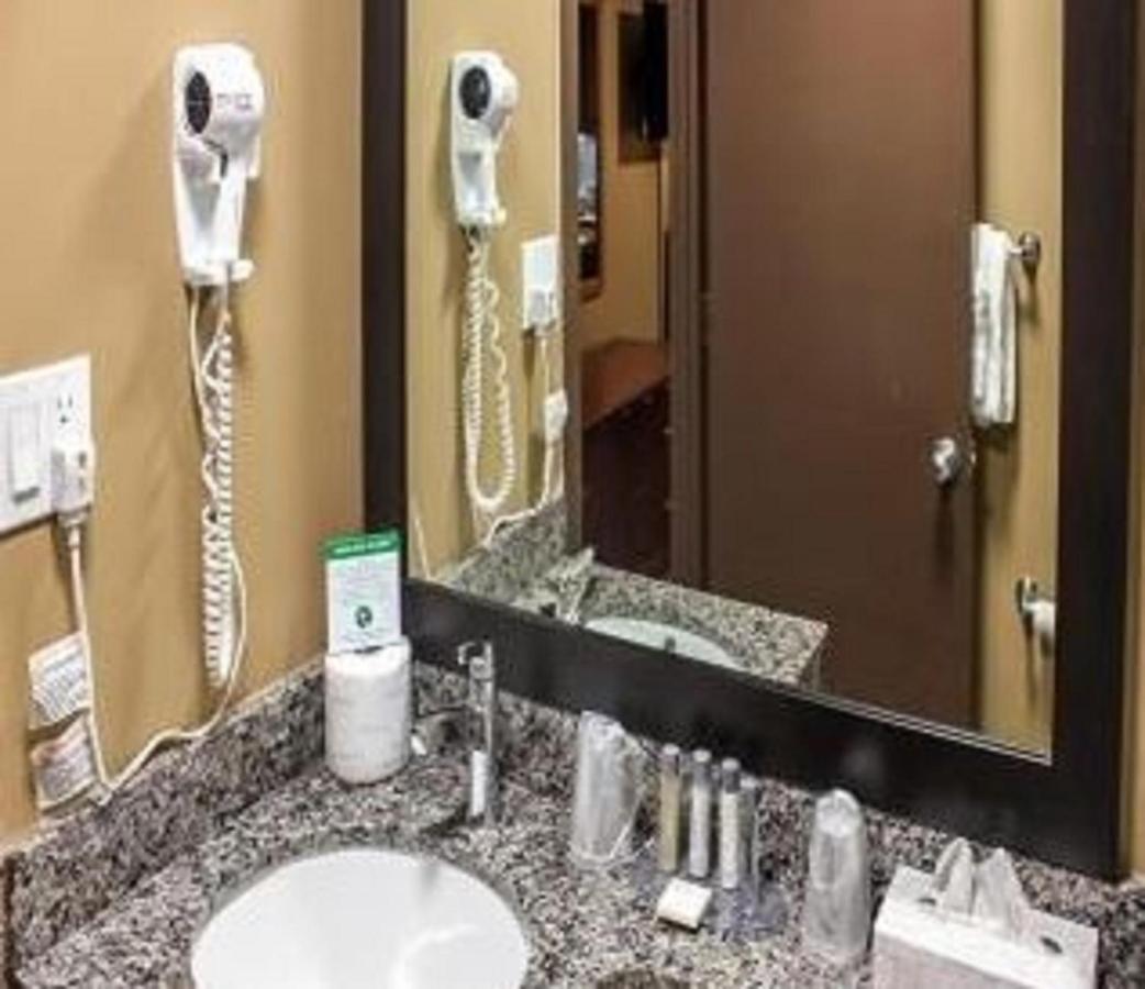 Sands Inn & Suites 埃德蒙顿 外观 照片